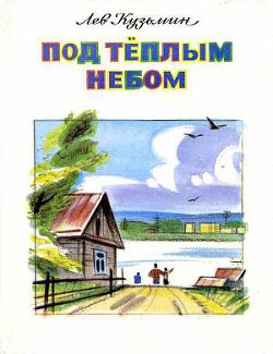 Книга Салют в Стрижатах