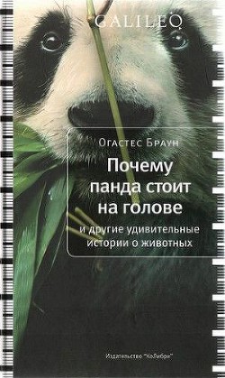 Читать онлайн книгу Почему панда стоит на голове и другие удивительные истории о животных автор Браун Огастес Книга Почему панда стоит на голове и другие удивительные истории о животных
