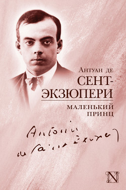 Читать онлайн книгу Маленький Принц автор де Сент-Экзюпери Антуан Книга Маленький Принц