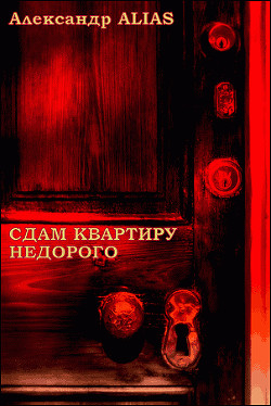 Книга Сдам квартиру недорого (СИ)