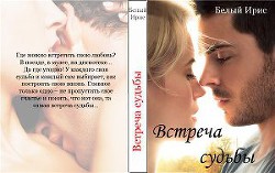 Книга Встреча судьбы (СИ)