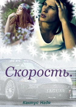 Читать онлайн книгу Скорость (СИ) автор Кактус Надя Книга Скорость (СИ)