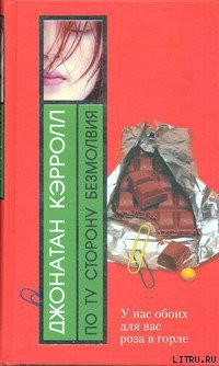 Читать онлайн книгу По ту сторону безмолвия автор Кэрролл Джонатан Книга По ту сторону безмолвия