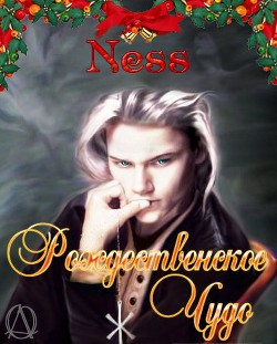 Читать онлайн книгу Рождественское чудо (СИ) автор Ness Nati Книга Рождественское чудо (СИ)