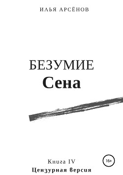 Книга Сен. Книга четвертая. Возврат.