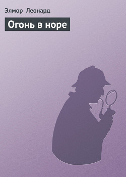 Книга Огонь в норе