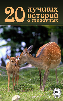 Читать онлайн книгу 20 лучших историй о животных автор Коллектив авторов Книга 20 лучших историй о животных