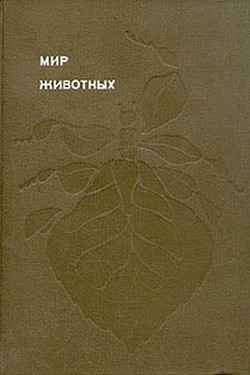 Книга Насекомые. Пауки