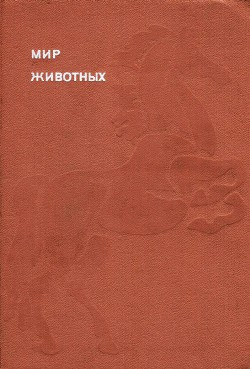 Книга Мир животных. Домашние животные