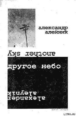 Читать онлайн книгу Другое небо автор Алейник Александр Книга Другое небо