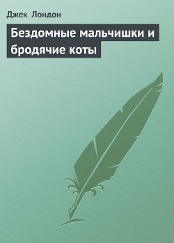 Книга Бездомные мальчишки и бродячие коты
