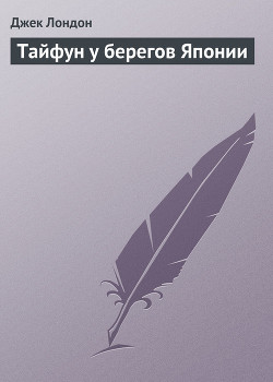 Книга Тайфун у берегов Японии