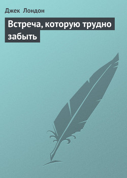 Книга Встреча, которую трудно забыть