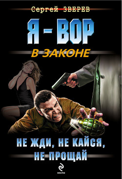 Книга Не жди, не кайся, не прощай
