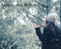 Книга Чудеса под Новый Год (СИ)
