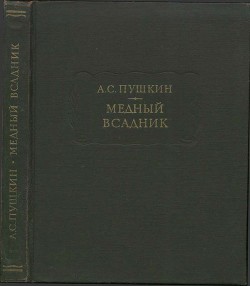 Книга Медный всадник