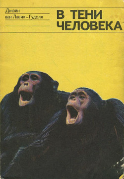 Книга В тени человека