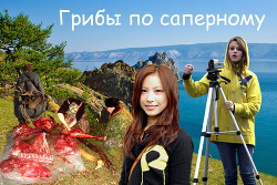 Книга Грибы по-саперному (СИ)