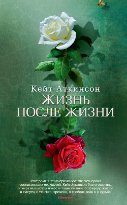 Книга Жизнь после жизни
