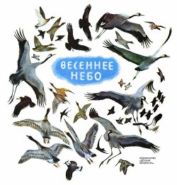 Читать онлайн книгу Весеннее небо автор Коваль Юрий Иосифович Книга Весеннее небо