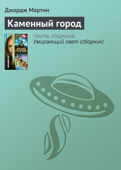 Книга Каменный город