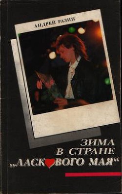 Книга Разин А. А. 