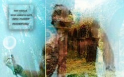 Книга Сай Линар Линеркон (СИ)