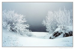 Книга 31 декабря сказка стучится во все двери                         (СИ)