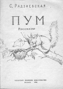 Читать онлайн книгу Пум автор Радзиевская Софья Борисовна Книга Пум