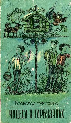 Книга Чудеса в Гарбузянах