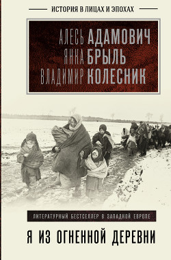 Читать онлайн книгу Я из огненной деревни… автор Колесник Владимир Андреевич Книга Я из огненной деревни…