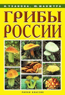 Читать онлайн книгу Грибы России автор Манжура Юрий Михайлович Книга Грибы России
