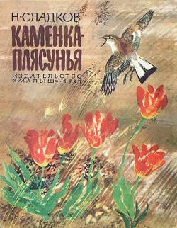 Читать онлайн книгу Каменка-плясунья автор Сладков Николай Иванович Книга Каменка-плясунья