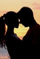 Книга В темноте все кошки серые?