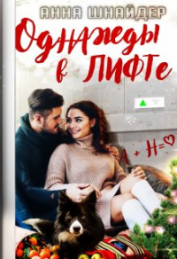 Читать онлайн книгу Однажды в лифте автор Анна Шнайдер Книга Однажды в лифте