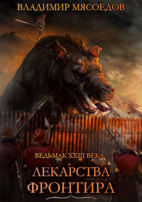 Читать онлайн книгу Лекарства Фронтира автор Владимир Мясоедов Книга Лекарства Фронтира
