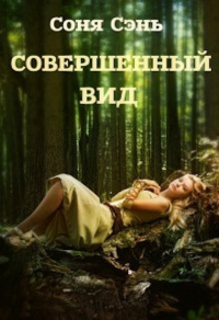 Книга Совершенный вид