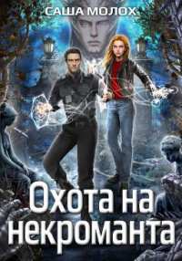 Читать онлайн книгу Охота на некроманта автор Саша Молох Книга Охота на некроманта