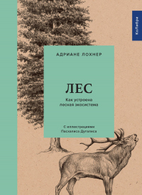 Читать онлайн книгу Лес. Как устроена лесная экосистема автор Адриане Лохнер Книга Лес. Как устроена лесная экосистема