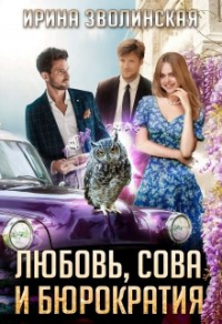 Читать онлайн книгу Любовь, сова и бюрократия автор Ирина Зволинская Книга Любовь, сова и бюрократия