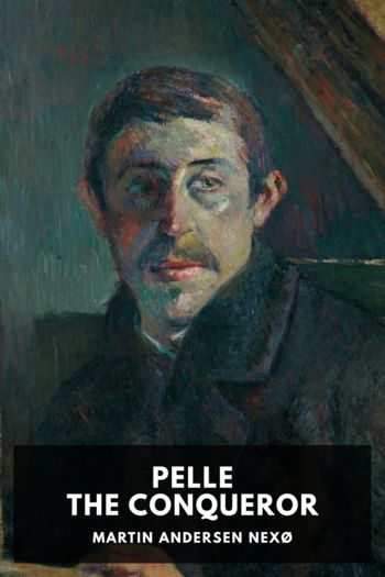 Книга Pelle the Conqueror