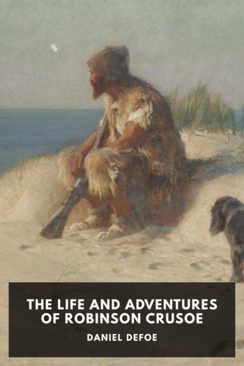 Книга The Life and Adventures of Robinson Crusoe
