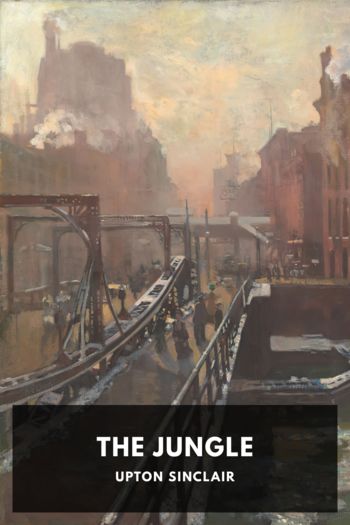 Книга The Jungle