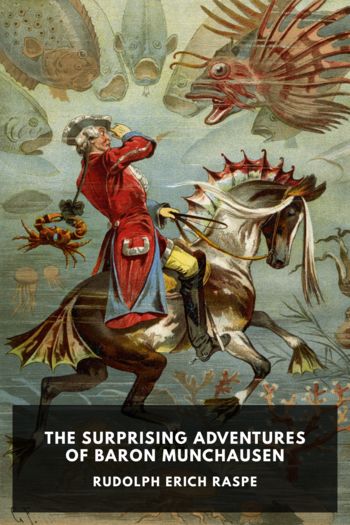 Читать онлайн книгу The Surprising Adventures of Baron Munchausen автор Rudolph Erich Raspe Книга The Surprising Adventures of Baron Munchausen