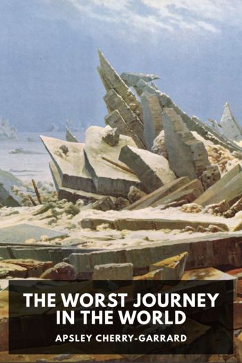Читать онлайн книгу The Worst Journey in the World автор Apsley Cherry-Garrard Книга The Worst Journey in the World