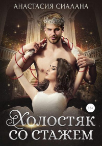 Читать онлайн книгу Холостяк со стажем автор Анастасия Сиалана Книга Холостяк со стажем