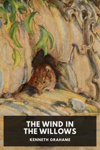 Читать онлайн книгу The Wind in the Willows автор Kenneth Grahame Книга The Wind in the Willows