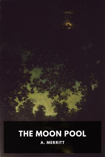 Читать онлайн книгу The Moon Pool автор A. Merritt Книга The Moon Pool