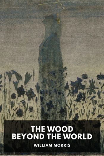 Книга The Wood Beyond the World