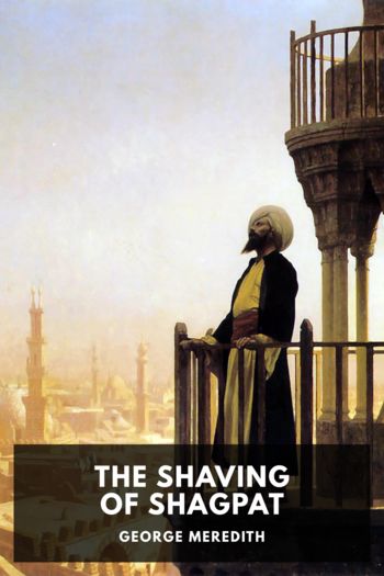 Книга The Shaving of Shagpat